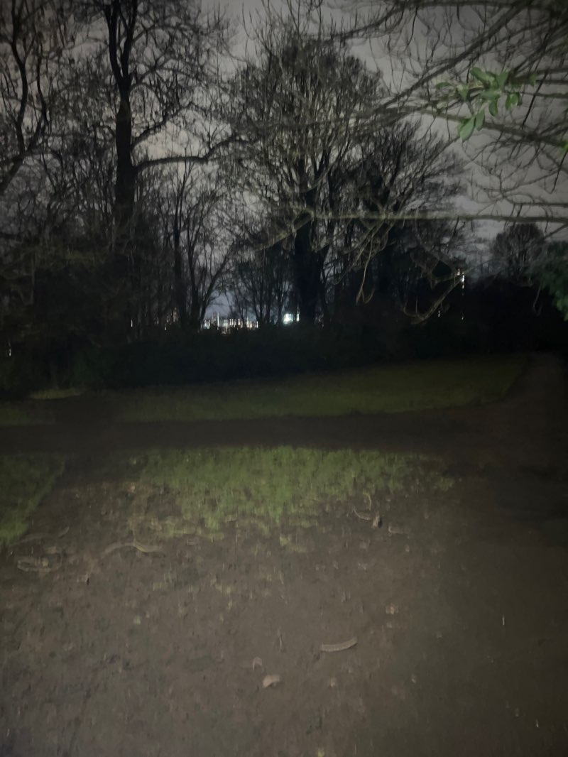 walking near me in Armstrong Park in winter