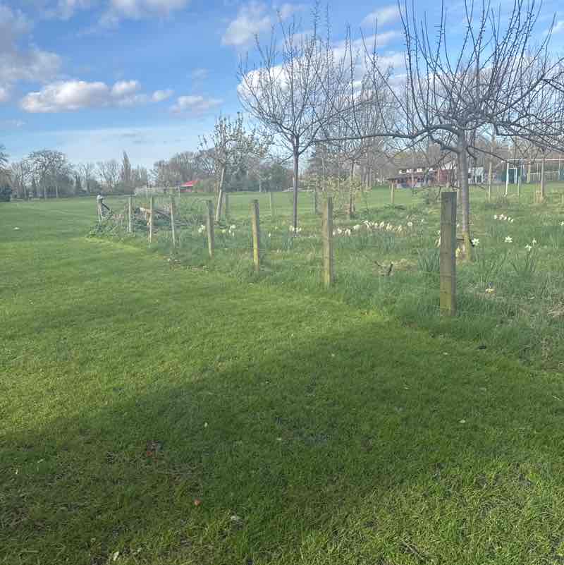 Thomas Leydon post 1