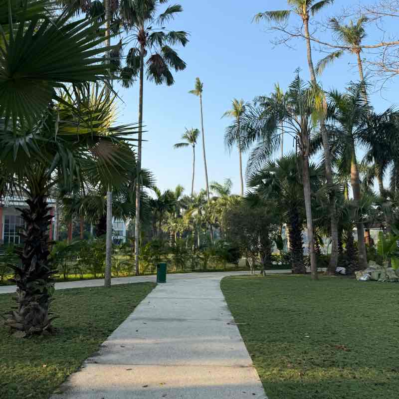 International SOS Myanmar Pyae Sone Ko post image