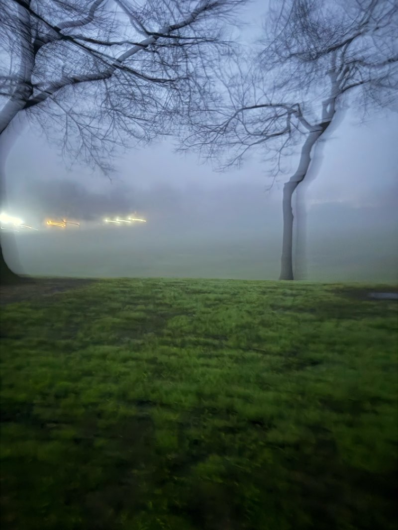 walking near me in Whitmore Park in winter