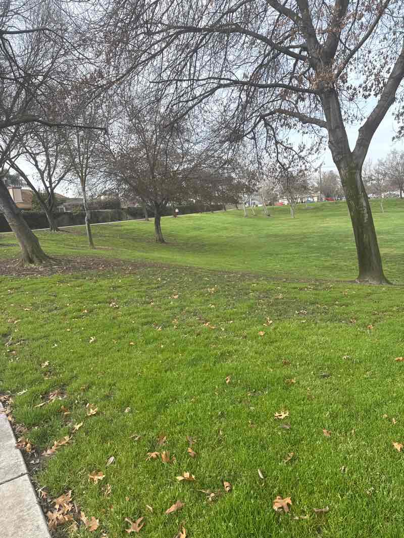 walking near me in Don Pedro Park in winter