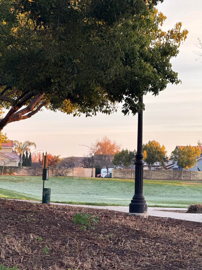 walking near me in Sam Ryno Park in winter
