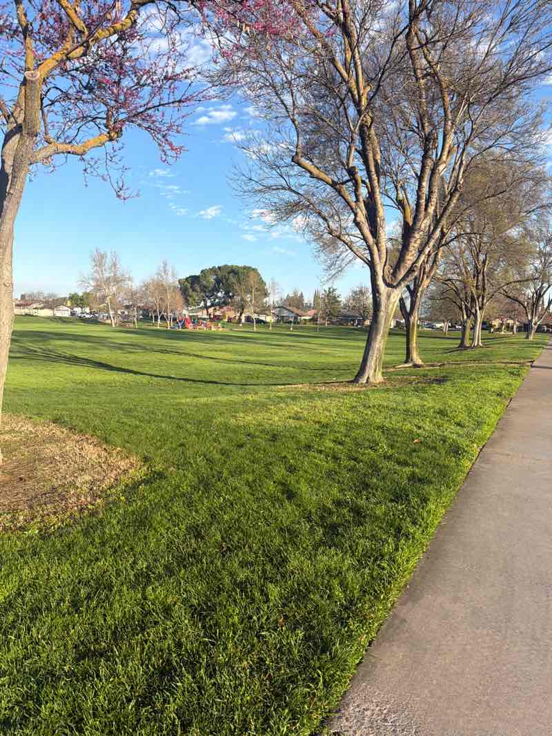 walking near me in Berry Grove Park in winter