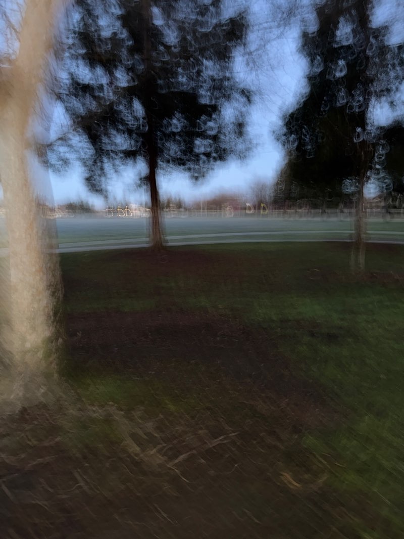 walking near me in Woodward Park in winter