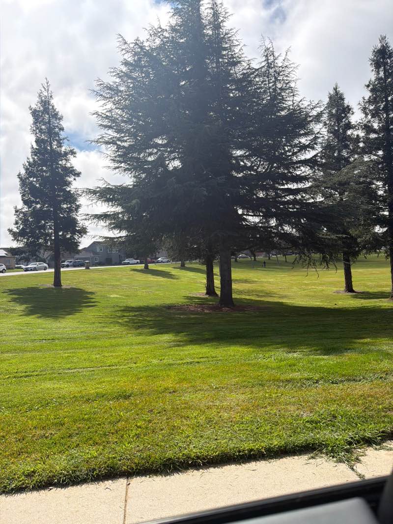 walking near me in Cotta Way Park in winter