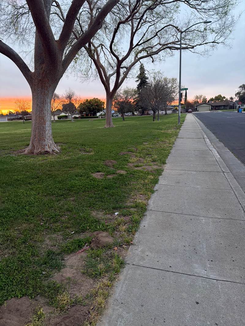walking near me in Union West Park in spring