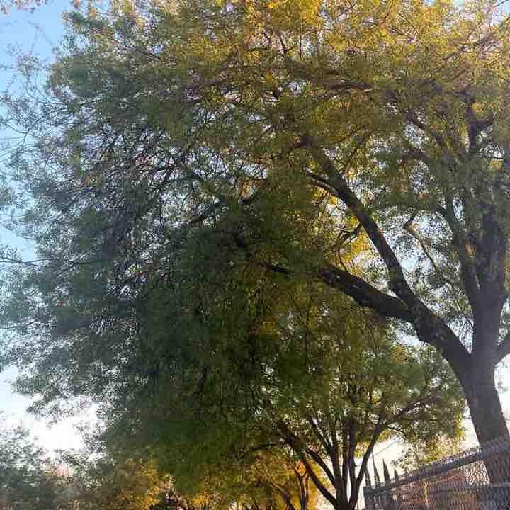 TrishB🫶🏼🫶🏼 post 2