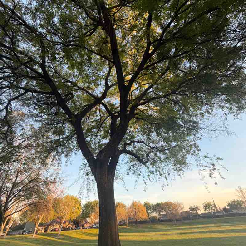 TrishB🫶🏼🫶🏼 post 3