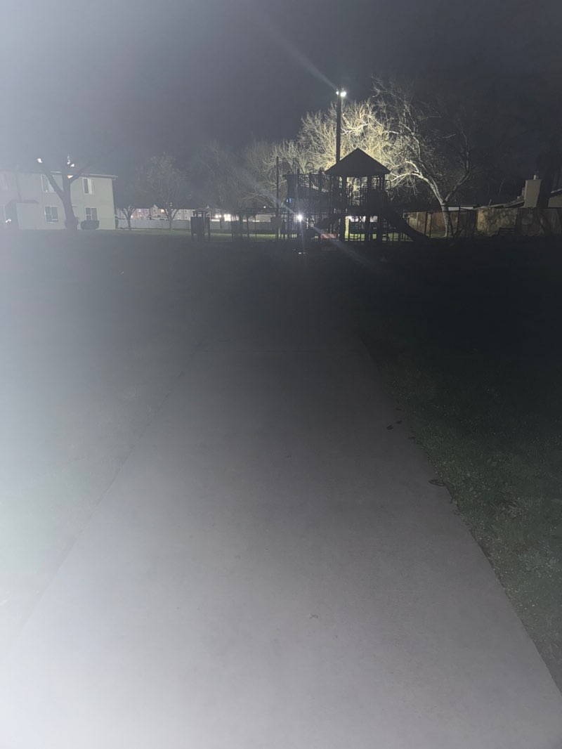 walking near me in Independence Park in spring