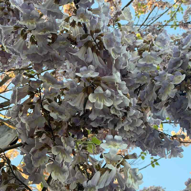 TrishB🫶🏼🫶🏼 post 1