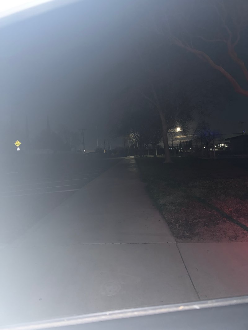 walking near me in Lincoln Park in spring