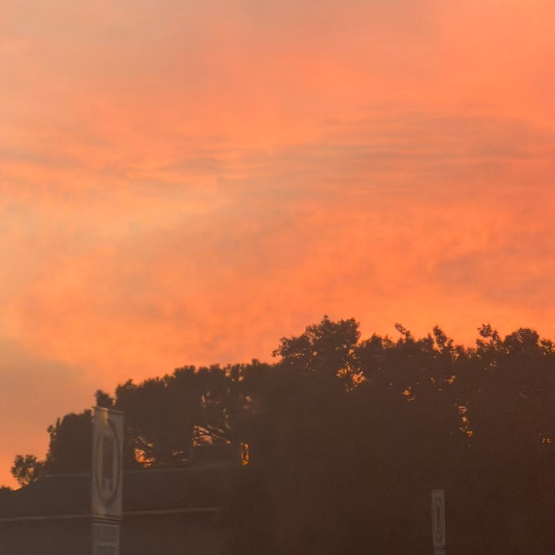 TrishB🫶🏼🫶🏼 post 1