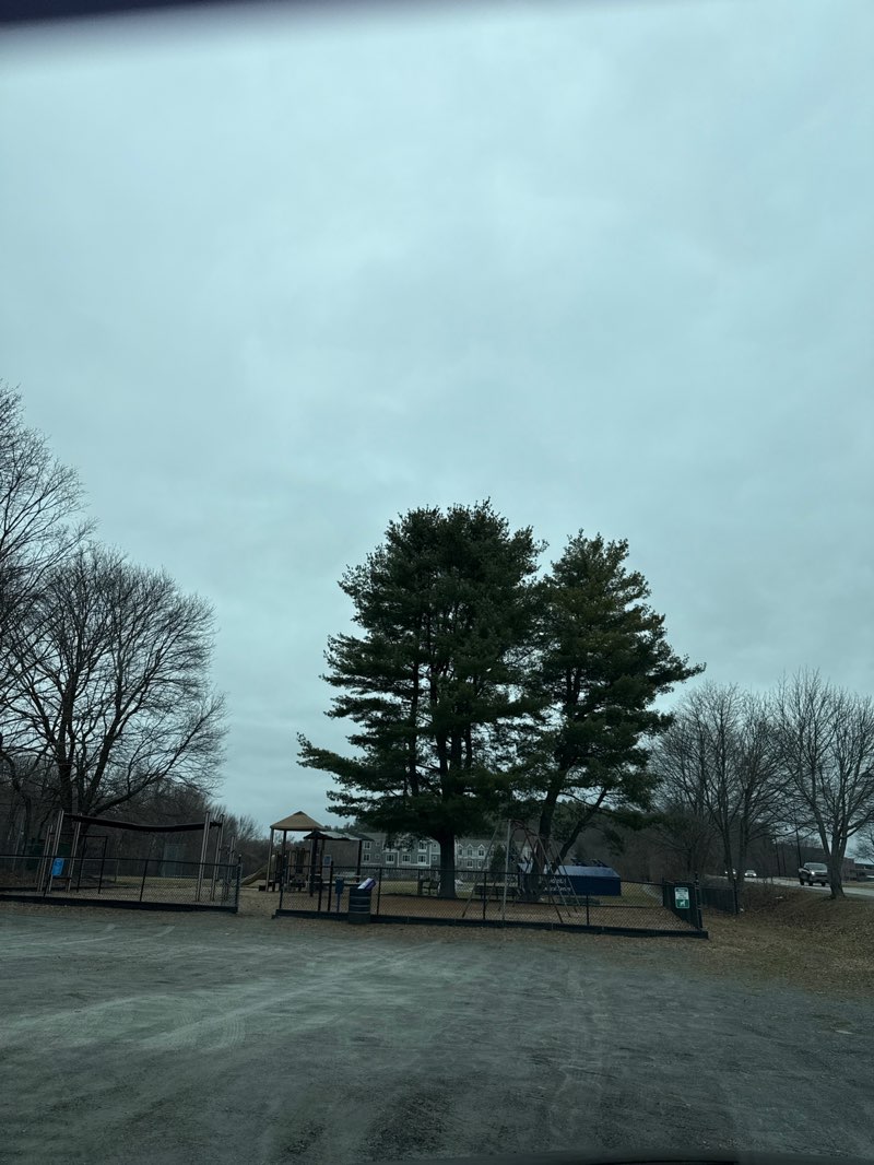 walking near me in Trw Park in spring