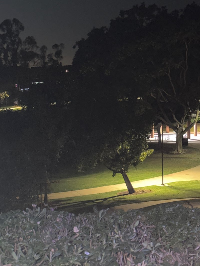 walking near me in Rimgate Park in winter