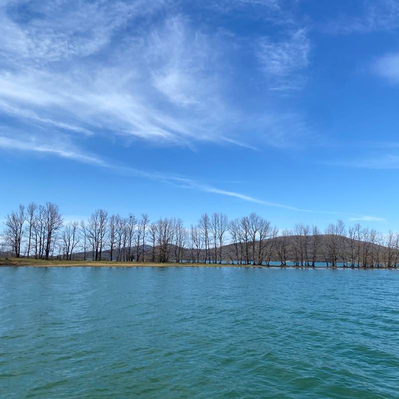 The Year Around Walker’s Apostolis☀️🎶 post image