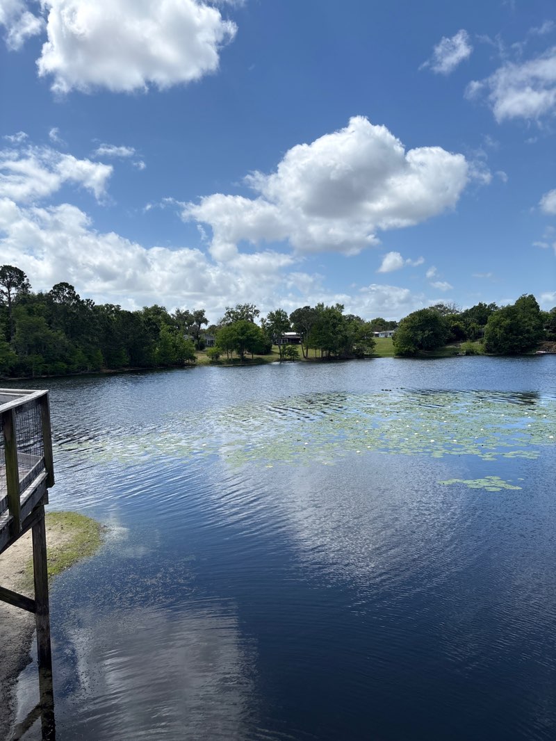walking near me in Campbell Park in spring