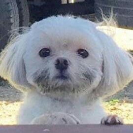 wait for me i got little legs profile