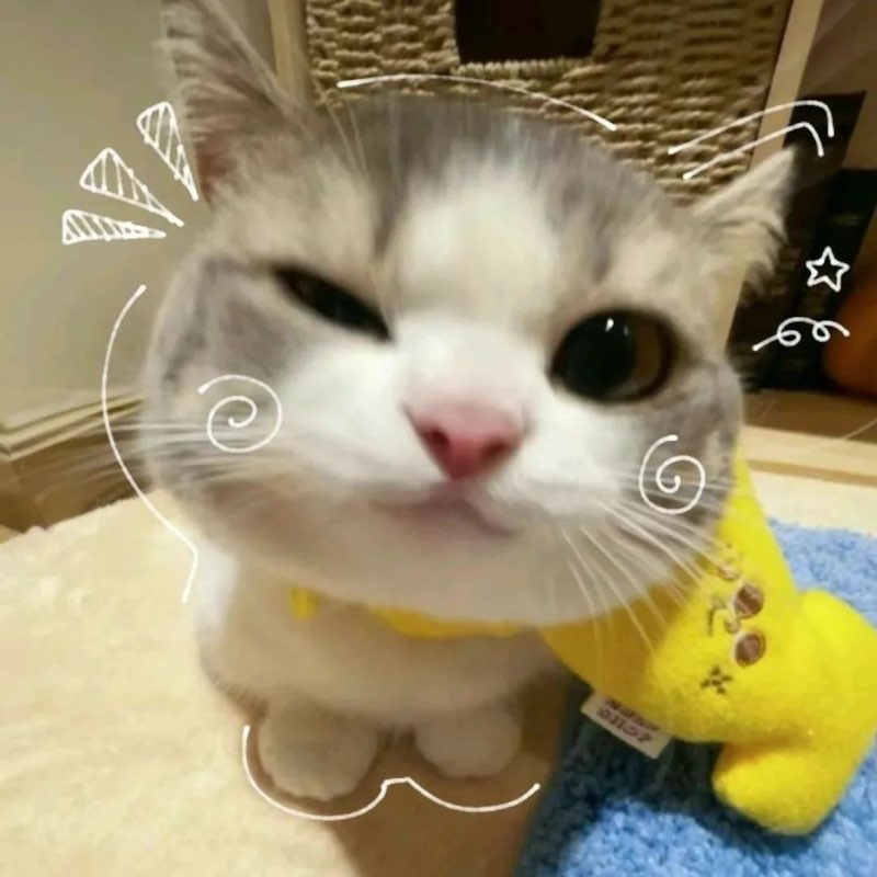 my mild mind aaaa icon