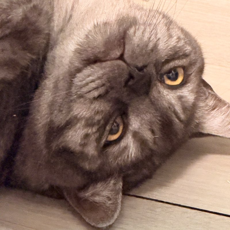 ซานหมื่นลี้ (San) profile