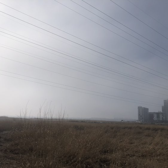 Ирин@ 🏃‍♀️🦁 post 2