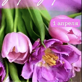 Ирин@ 🏃‍♀️🦁 post 2