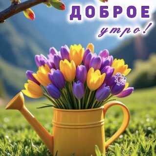 Ирин@ 🏃‍♀️🦁 post 2