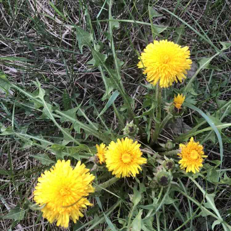 50_ Ирин@ 🏃‍♀️🦁 post 1