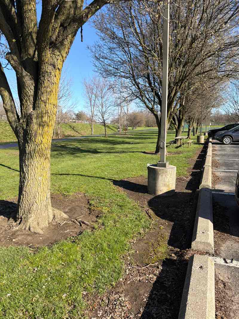 walking near me in Mingo Park in spring