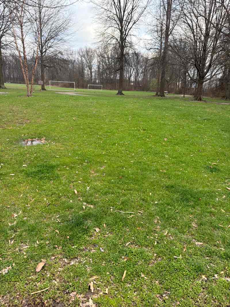walking near me in Lazelle Woods Park in spring