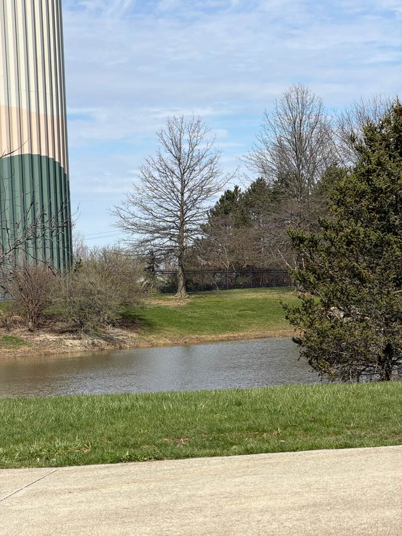 walking near me in Cheshire Crossing Park in spring