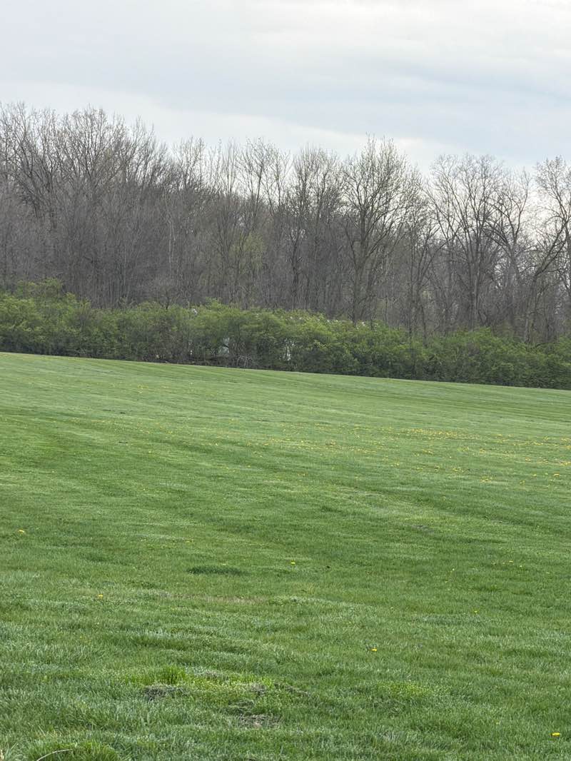 walking near me in Darree Fields in spring