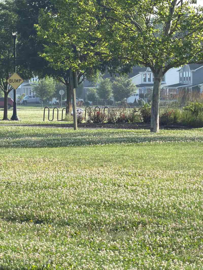 walking near me in Veterans Park in summer