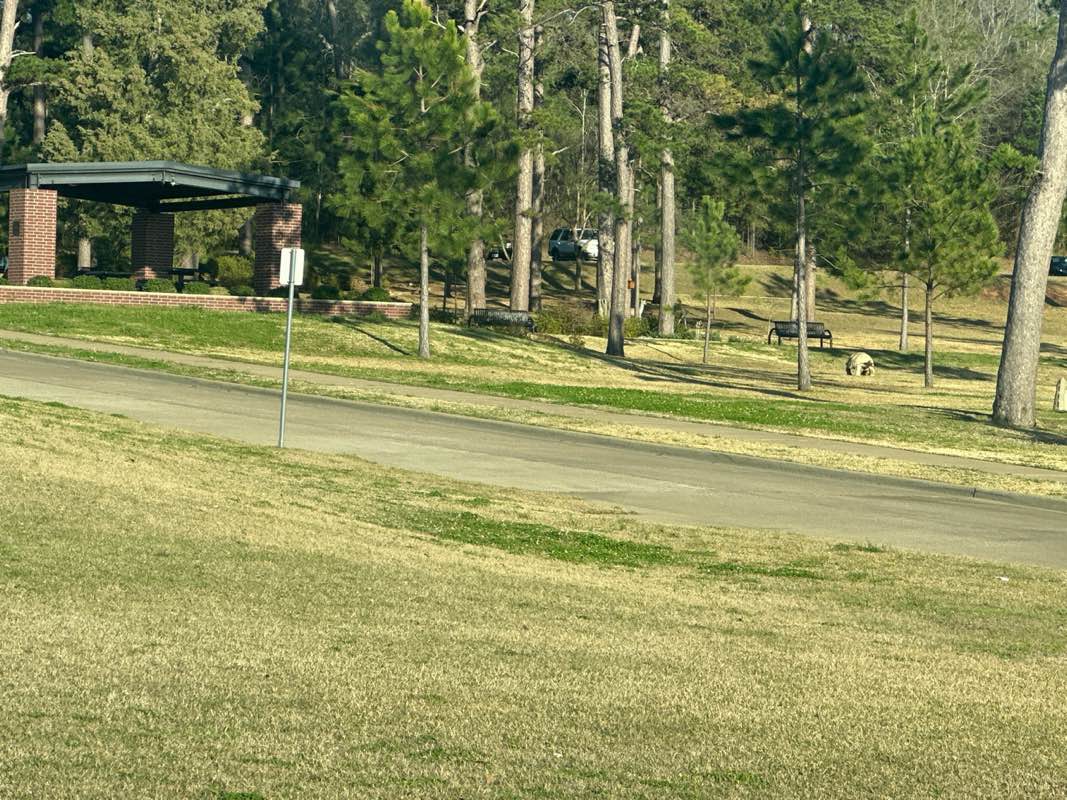 walking near me in Lake Forest Park in spring