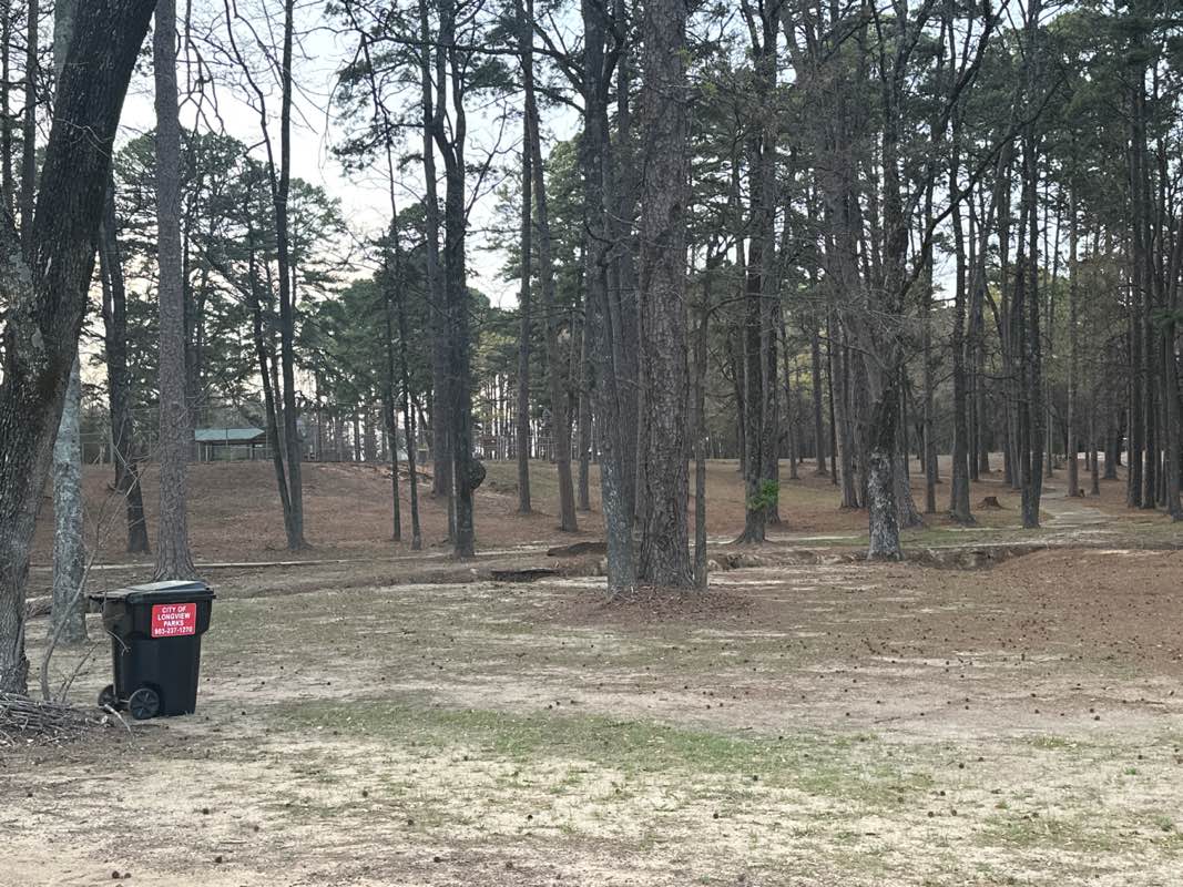 walking near me in Hinsley Park in spring