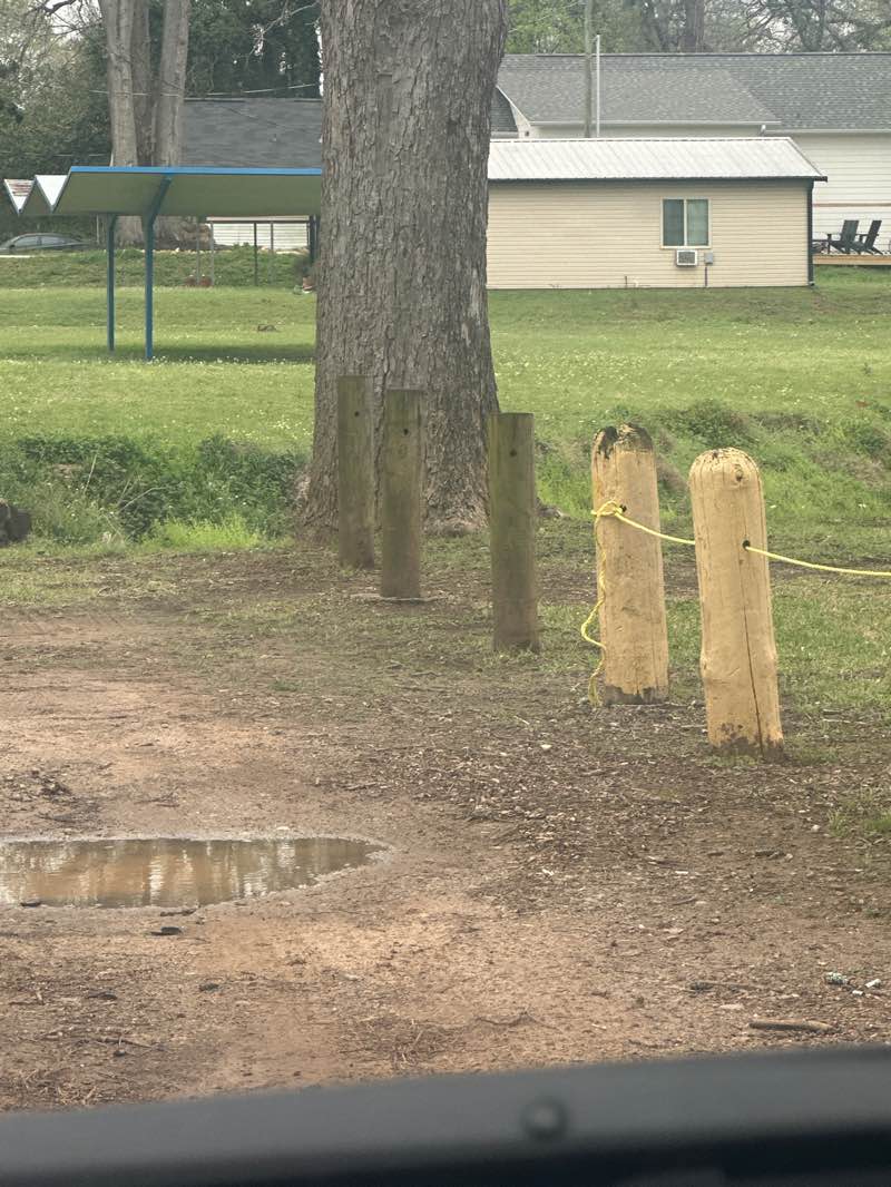 walking near me in Wyatt Park in spring