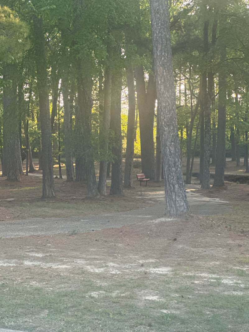 walking near me in Hinsley Park in spring