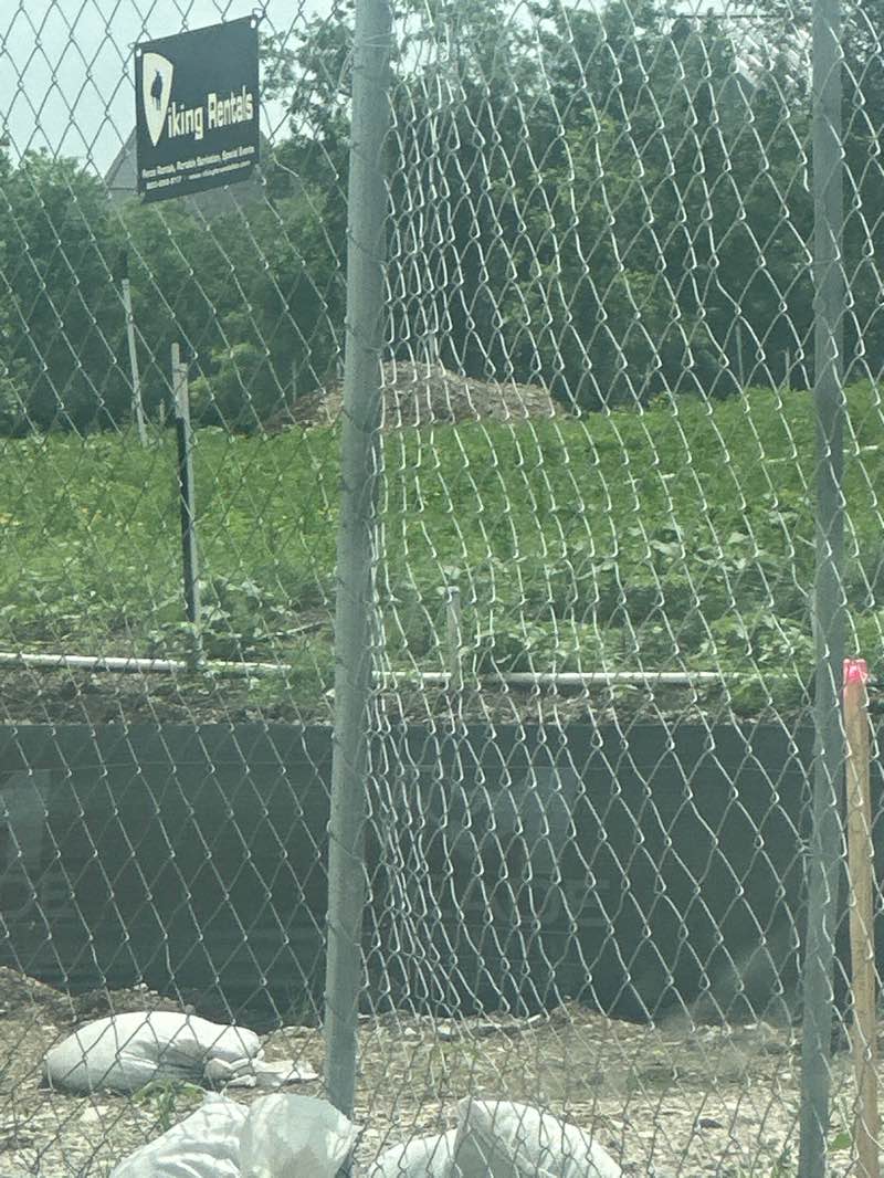 walking near me in Northwest Community Park in spring