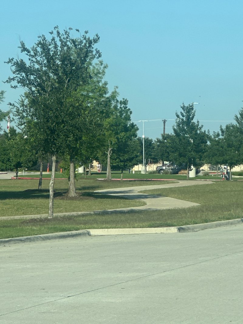 walking near me in Jamison Park in spring