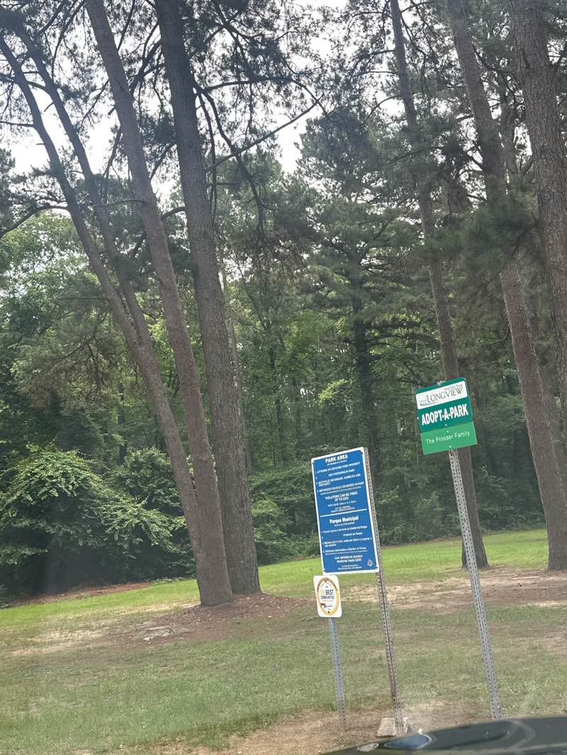 walking near me in Ward Park in summer