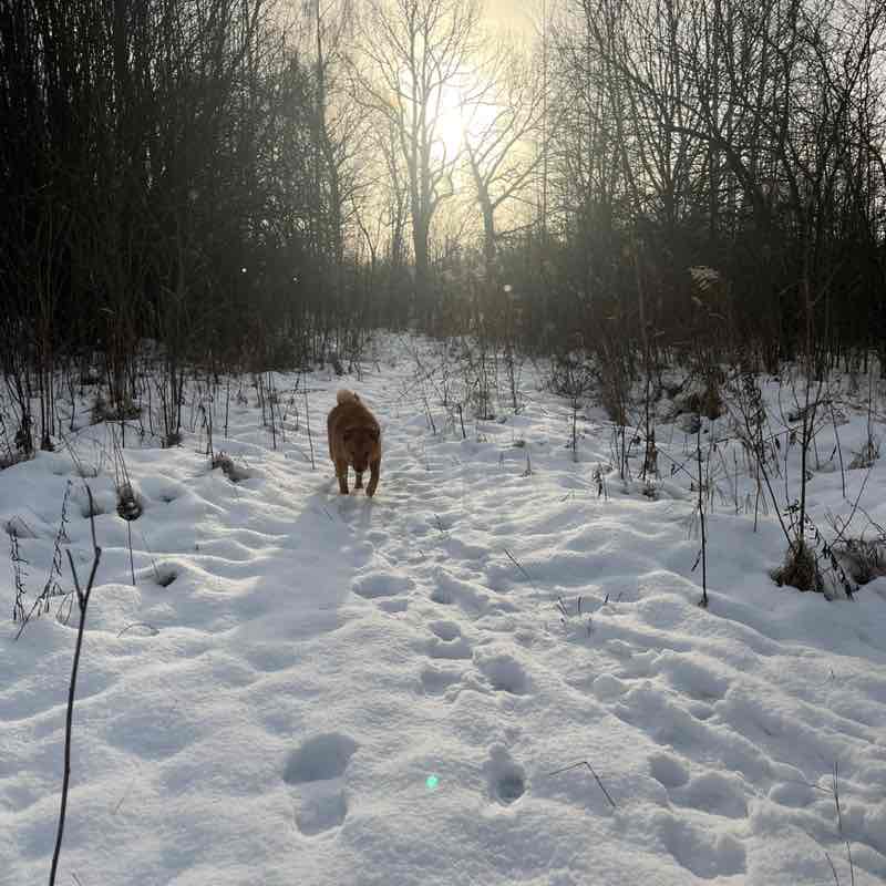 Нижний Новгород вперёд! ⚽️⚽️⚽️ Ксения post image