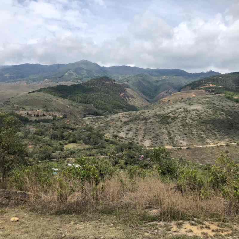 Les sportifs 972 🏃🫱🏻‍🫲🏽🚶‍♀ SokSabay. Le sport est ma première médecine.🫶 post image