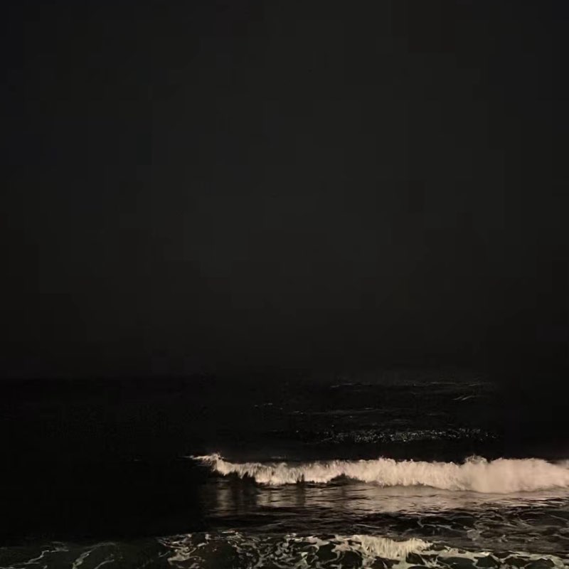 ricepot revival arc sae post image