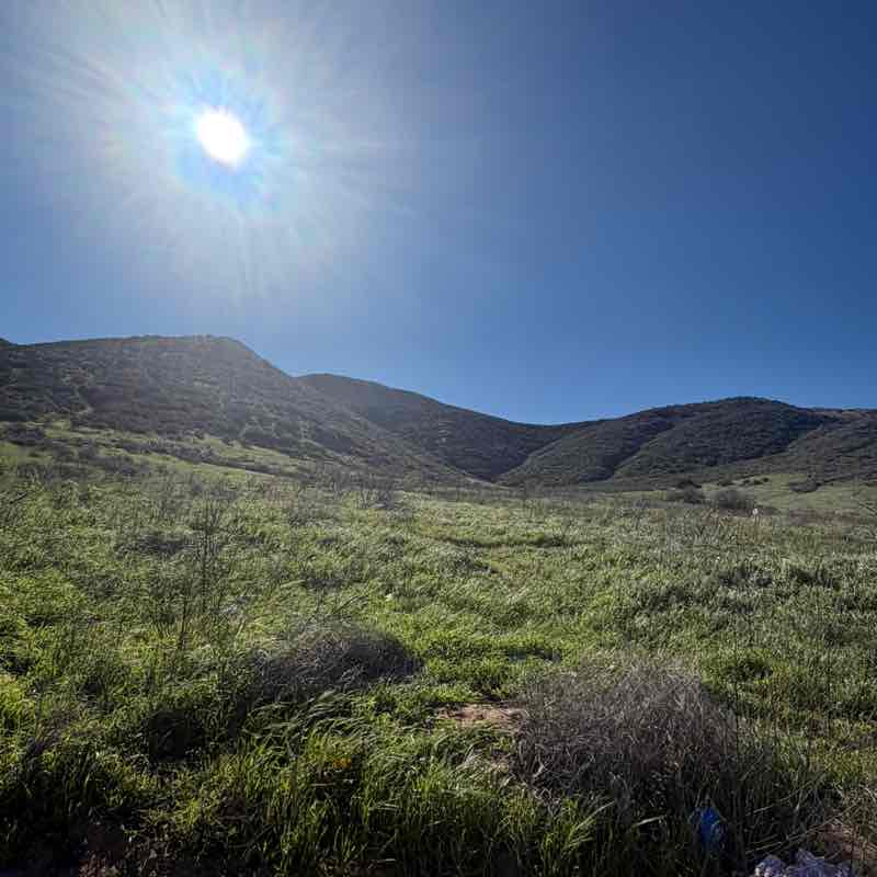 MAROMA Energy Services Claudia post image