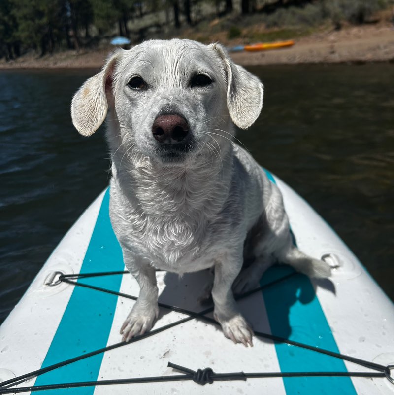 Brenda profile