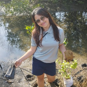 Feb Allibang profile