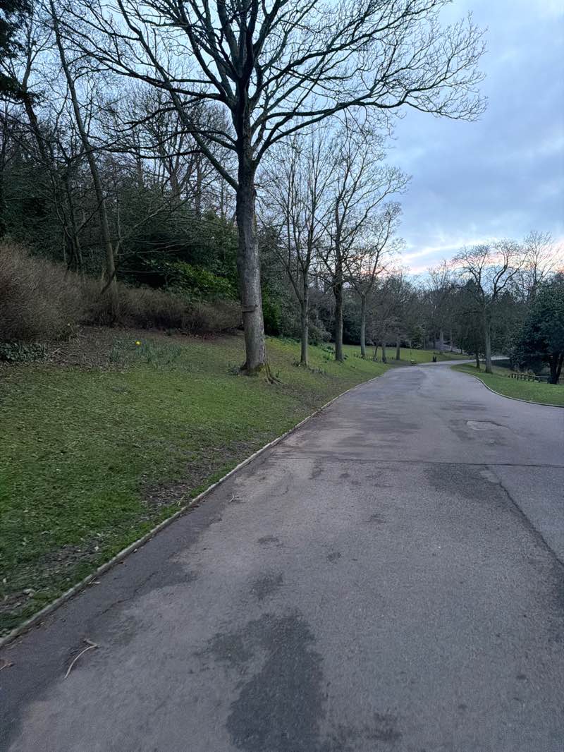 walking near me in Barnes Park Extension in spring
