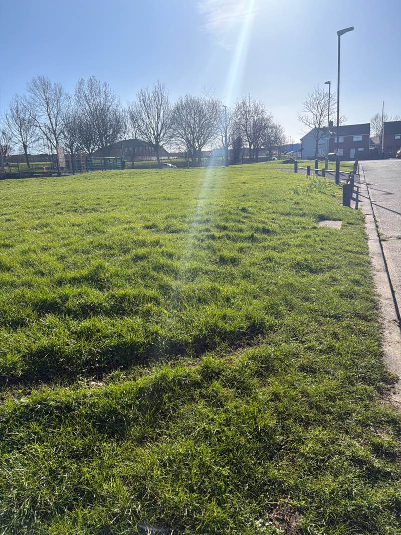 walking near me in Pennywell Park in spring