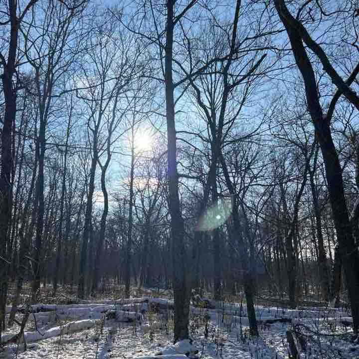 Great Parks Trail Challenge Allison post image