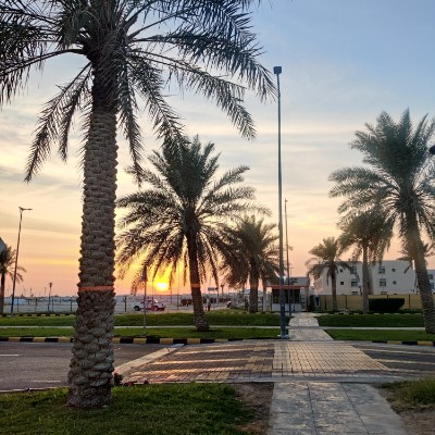 ✨️SOUTH ARABIA PACERS ✨️ Muhammad Hassaan Amjad post image