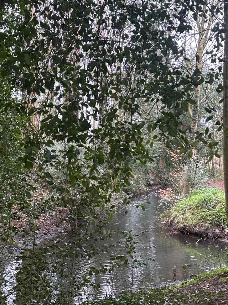 walking near me in Boultham Park in spring